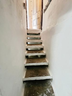 Cellar steps- click for photo gallery